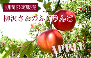 長野産柳沢さんのふじりんご