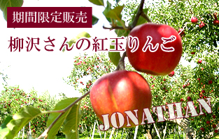 長野産柳沢さんの紅玉りんご