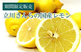 国産レモン秀品（黄色）