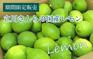 国産レモン秀品（緑色）