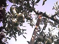 �������_