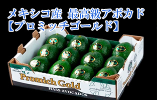 メキシコ産アボガド