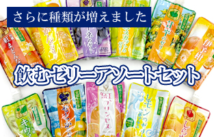 飲むゼリー11種類おまかせセット（通常価格）