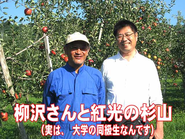 生産者の柳沢さんと紅光の杉山