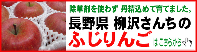 ふじりんごのご注文も承り中！