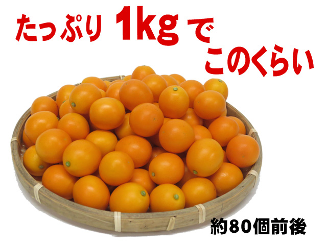 たっぷり１キロで約８０個前後