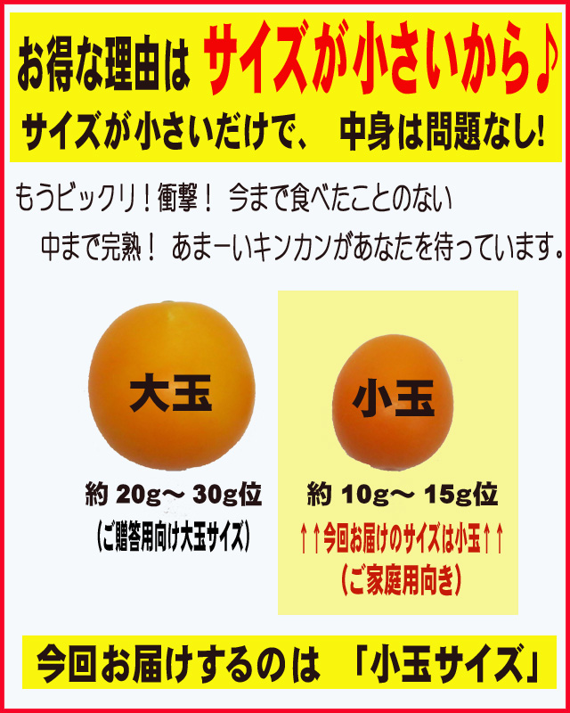 お得な理由はサイズが小さいから