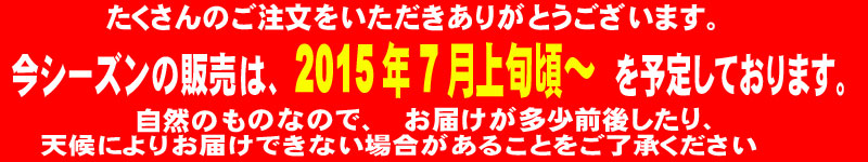 種無しライチを切ってみました！本当に種がありません！